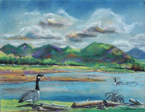 Goose at Fagstaff.jpg